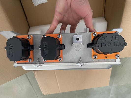 VOYAH W97C3619812AC 6.6kW 自動車充電器 組み立て 配送方式 DHL UPS Fedex EMS その他